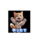 毎日使える子猫の挨拶スタンプ関西弁ver.（個別スタンプ：6）