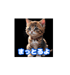 毎日使える子猫の挨拶スタンプ関西弁ver.（個別スタンプ：16）
