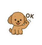 かわいいトイプードルスタンプ 2（個別スタンプ：2）