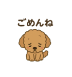 かわいいトイプードルスタンプ 2（個別スタンプ：4）