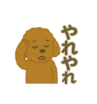 かわいいトイプードルスタンプ 2（個別スタンプ：16）