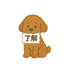 かわいいトイプードルスタンプ 2（個別スタンプ：18）