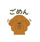 かわいいトイプードルスタンプ 2（個別スタンプ：28）