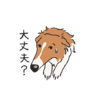 ボルボルボルゾイ（個別スタンプ：8）