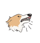 ボルボルボルゾイ（個別スタンプ：9）
