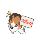 ボルボルボルゾイ（個別スタンプ：16）
