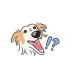 ボルボルボルゾイ（個別スタンプ：20）