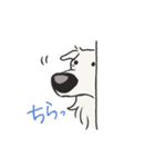 ボルボルボルゾイ（個別スタンプ：23）