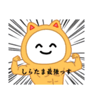 使いやすいしらたまさん1（個別スタンプ：16）