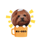 ange⑧（個別スタンプ：4）