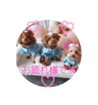 ange⑧（個別スタンプ：7）