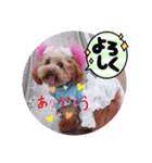 ange⑧（個別スタンプ：8）