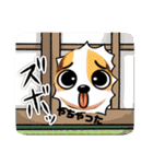 猫ちゃん日常のスタンプ（個別スタンプ：4）