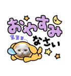 猫ちゃん日常のスタンプ（個別スタンプ：5）