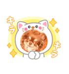 あんこちゃんあにまるず（個別スタンプ：1）