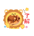 あんこちゃんあにまるず（個別スタンプ：2）
