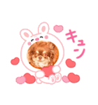あんこちゃんあにまるず（個別スタンプ：5）