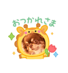 あんこちゃんあにまるず（個別スタンプ：6）