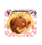 あんこちゃんあにまるず（個別スタンプ：7）