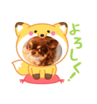 あんこちゃんあにまるず（個別スタンプ：9）