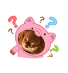 あんこちゃんあにまるず（個別スタンプ：12）
