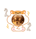 あんこちゃんあにまるず（個別スタンプ：14）