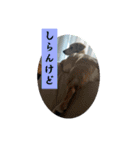 ももちゃん界隈(Lv1)（個別スタンプ：7）