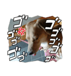 ももちゃん界隈(Lv1)（個別スタンプ：14）