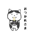 しまにゃ-（個別スタンプ：3）