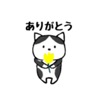 しまにゃ-（個別スタンプ：7）