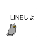 目猫2（個別スタンプ：12）