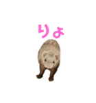 たいこね雑スタンプ（個別スタンプ：8）