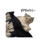 いわし(=^x^=)（個別スタンプ：1）