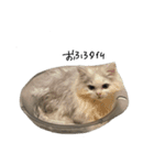 いわし(=^x^=)（個別スタンプ：9）