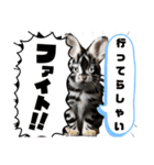 うさちゃんリアクションスタンプ（個別スタンプ：4）