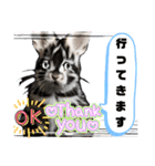 うさちゃんリアクションスタンプ（個別スタンプ：5）