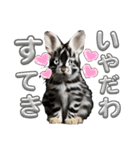 うさちゃんリアクションスタンプ（個別スタンプ：8）