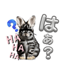 うさちゃんリアクションスタンプ（個別スタンプ：10）
