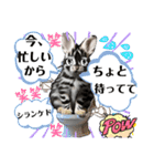 うさちゃんリアクションスタンプ（個別スタンプ：11）