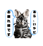 うさちゃんリアクションスタンプ（個別スタンプ：14）