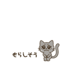 意外とつかえる グレーの猫（個別スタンプ：3）