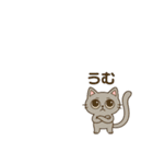 意外とつかえる グレーの猫（個別スタンプ：27）
