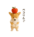 コーギーのくだらないネタスタンプ（個別スタンプ：7）