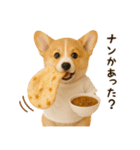 コーギーのくだらないネタスタンプ（個別スタンプ：16）
