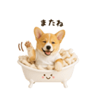 コーギーのくだらないネタスタンプ（個別スタンプ：30）