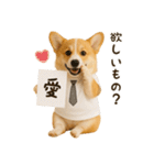 コーギーのくだらないネタスタンプ（個別スタンプ：39）