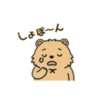 ウォンバットゥン（個別スタンプ：2）