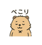 ウォンバットゥン（個別スタンプ：6）
