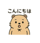 ウォンバットゥン（個別スタンプ：8）