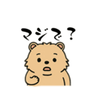 ウォンバットゥン（個別スタンプ：16）
